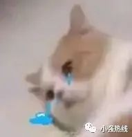 DƬ